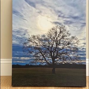 Auntie Flash photo on canvas